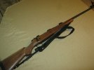 CZ550 - .375 H&H.JPG