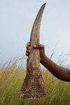 rhino-bust-south-africa-ivory_84987_990x742.jpg