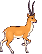 graphics-deers-237959.gif