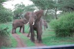 Africa part 2 2010 930.jpg
