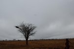 Africa part 2 2010 1064.jpg