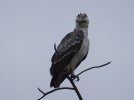 DSCF8921.jpg
