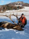 hunting-elk-2.jpeg