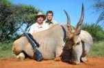 eland 2.jpg