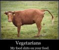 vegetarians-myfood.jpg