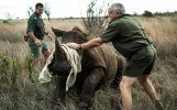 Kruger_National_Pa_3154466b.jpg