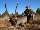 7-8-11 Waterbuck.jpg