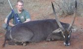 Waterbuck1.jpg