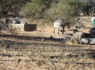 AFRICA 2011 087.jpg