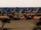 Kalahari landscape 4.jpg