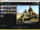 leopard.jpg