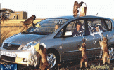 limpopo car wash!.gif