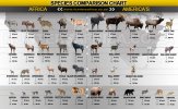 Animal-Comparison-Large-New.jpg