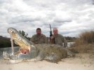 Tony Quilter. Elephant. Croc July 2011 071.jpg