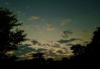 C19FD7F6-D76D-470B-915E-855670A6904D_1_105_c.jpeg