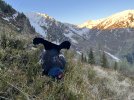 IMG_6462.jpeg