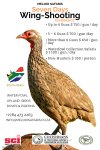 Wing shootong_1732269437711.jpg