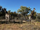 IMG_5561.jpeg