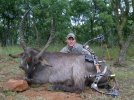 Dark Continent - Waterbuck.jpg