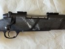 IMG_1570.jpeg