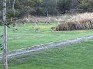IMG_0264.jpeg
