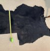 Black Cape Buffalo Hide 05.jpg