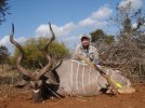 Collins Kudu 2.jpg