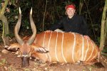 Bongo - Jim Shockey June 2012.JPG