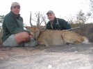 Bushbuck. PH Jaco Strauss.jpg