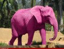 Pink-Elephant-73315[1].jpg