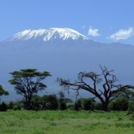 Kilimanjaro