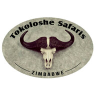 Tokoloshe Safaris