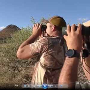 Roan Hunting South Africa with Liam Urry Safaris