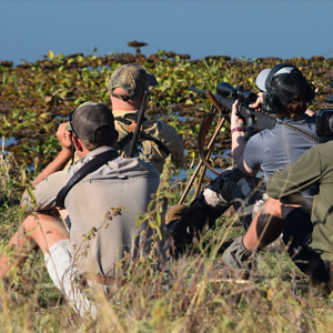 Taking Aim On Hippo Zimbabwe