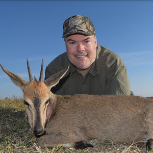 Duiker Hunting Eastern Cape South Africa