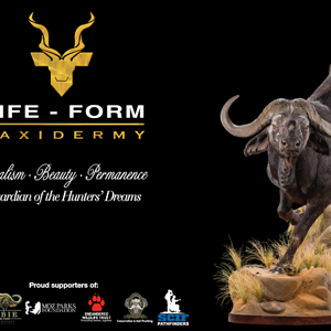 LIFE-FORM TAXIDERMY