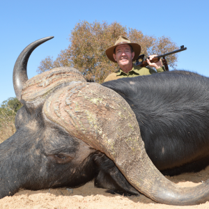 Buffalo Hunting Limpopo South Africa