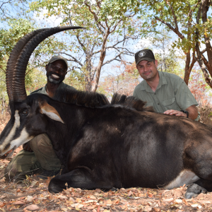 Sable Hunting Nissa Reserve Mozambique