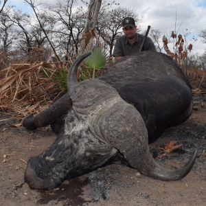Buffalo Hunting Nissa Reserve Mozambique