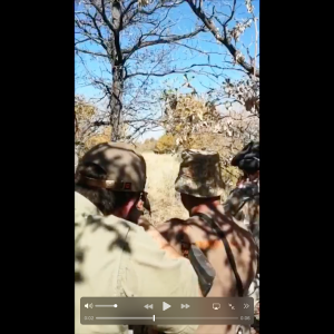 Buffalo Hunting Limpopo South Africa