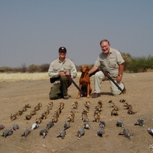 Sand Grouse & Dove Hunting in Namibia