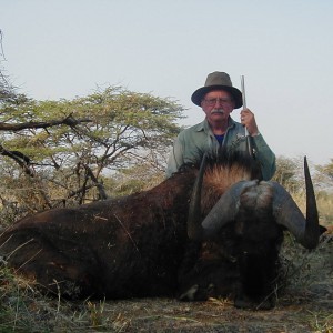 Black Wildebeest Hunting in Namibia