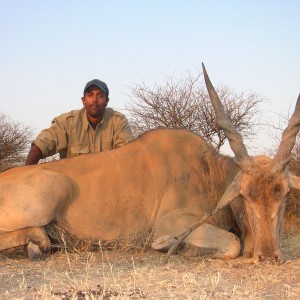 Cape Eland Hunting in Namibia