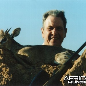 Damara Dik Dik Hunting in Namibia