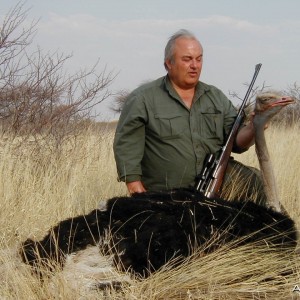 Ostrich Hunting in Namibia