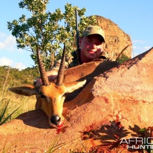 Mountain Reedbuck