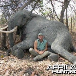 Elephant from Tanzania. 1,87 m 20kg