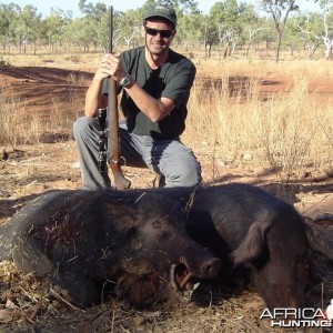 A couple of  Australian Pigs