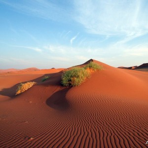 African landscape Dunes