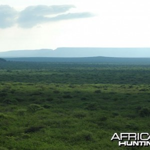 Nambia Landscape